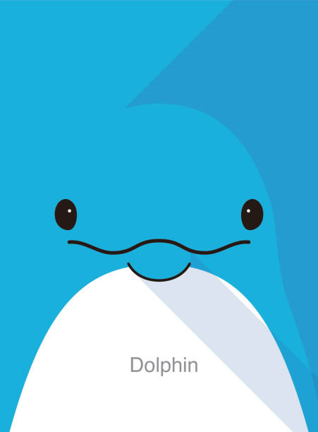 dolphin face flat icon design, vector illustration dolphin face flat icon design, vector illustration dolphin stock illustrations
