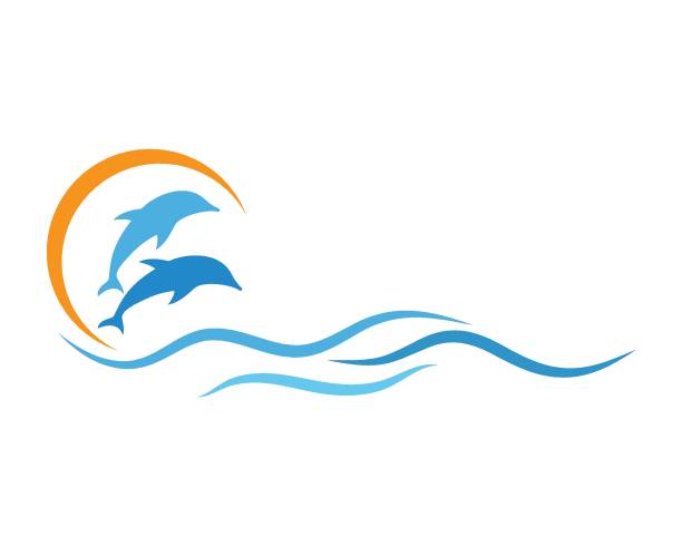 Dolphin icon vector Dolphin icon vector template dolphin stock illustrations