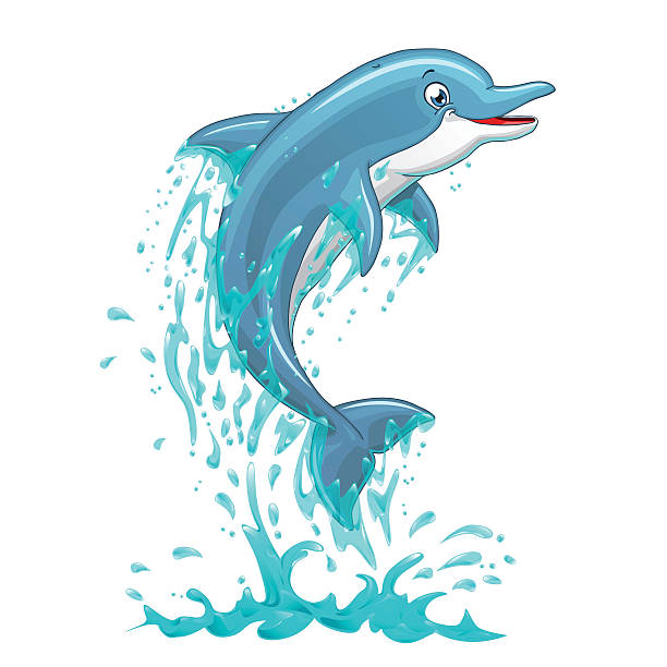 Dolphin jumps in water splashes on white The dolphin who is jumping out of sea water on white background, isolated. Vector illustration. dolphin stock illustrations