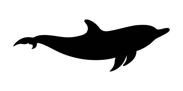 Dolphin swim Dolphin graphic icon. Swimming dolphin sign isolated on white background. Dolphin as sea life symbol. Vector illustration dolphin stock illustrations