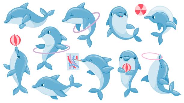 Dolphins with balls. Cute cartoon blue dolphin character play, jump through hoop and draw. Marine animal dolphinarium performance vector set Dolphins with balls. Cute cartoon blue dolphin character play, jump through hoop and draw. Marine animal dolphinarium performance vector set. Dolphin show performance jump hoop illustration stylized underwater nature set of icons stock illustrations