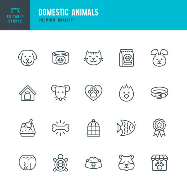 Hewan Domestik - set ikon vektor garis tipis. Stroke yang dapat diedit. Pixel Sempurna. Set berisi ikon seperti Dog, Cat, Pets, Bird, Fish, Hamster, Mouse, Rabbit, Pet Food, Pet Shop, Birdcage.