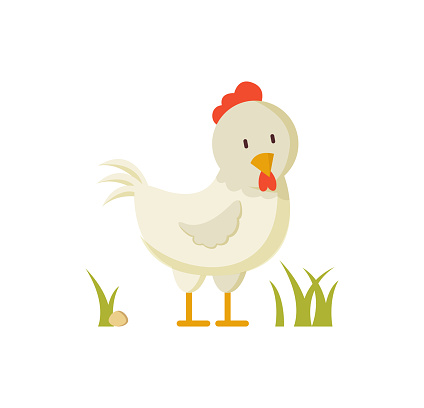 Domestic Bird White Hen Crest Illustration Poster