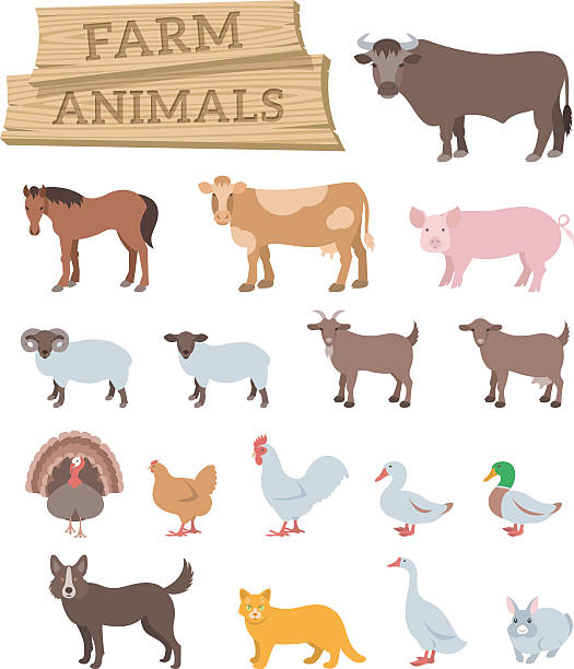 Domestic farm animals flat vector icons vector art illustration