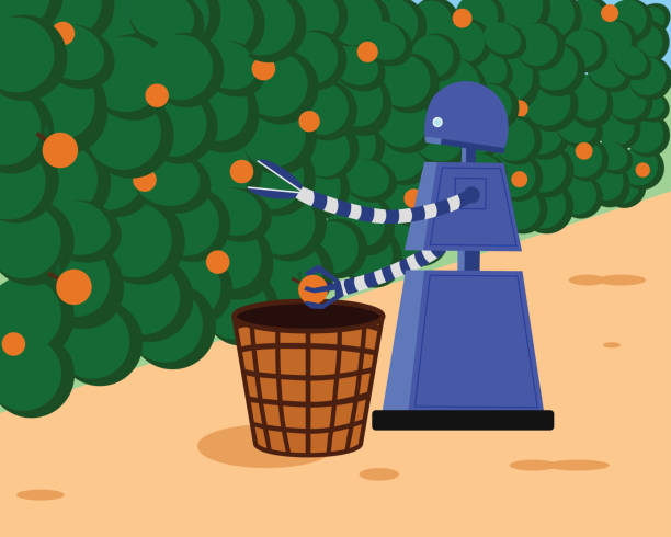 ilustrações de stock, clip art, desenhos animados e ícones de domestic robot picking fresh fruits and collecting in a basket. - technology picking agriculture