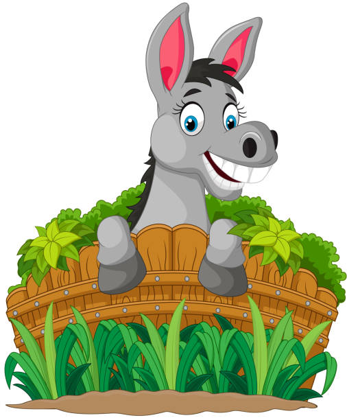 Donkey cartoon holding fence fun, mammal, calm, mule, donkey, vector, domesticated, farm, funny, illustration, humor, face, stupid, style, cartoon, isolated, horse, tooth, white, expression, comic, stand, creature, head, character, graphic, fence, cute, smile, young, look, friendly, nature, happy, animal donkey teeth stock illustrations