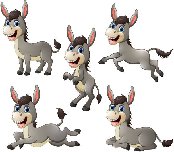 Donkey cartoon set collection vector illustration of Donkey cartoon set collection donkey teeth stock illustrations
