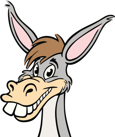 Donkey Head Stock Illustration - Download Image Now - iStock