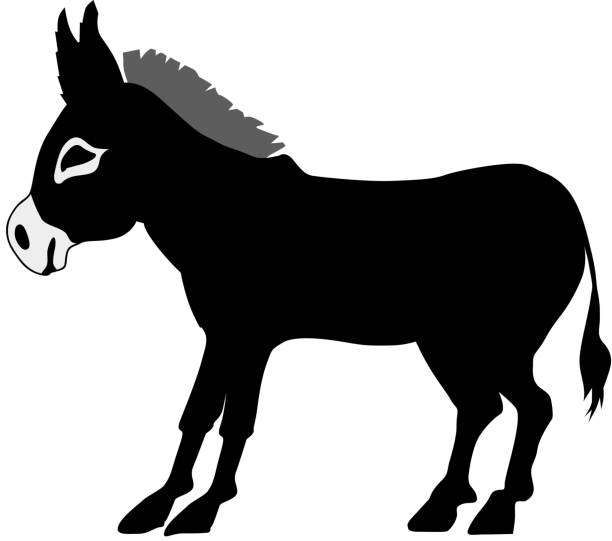 stockillustraties, clipart, cartoons en iconen met ezel - star