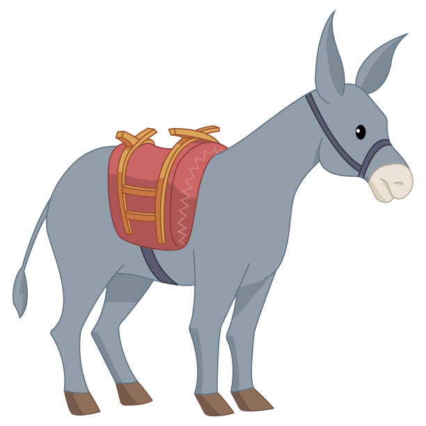 Donkey Vector Donkey with saddle illustration donkey teeth stock illustrations
