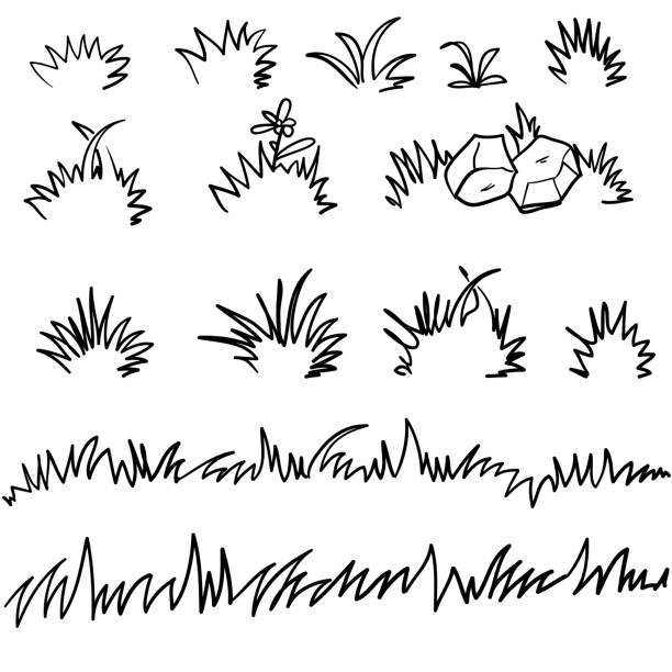 doodle crass illüstrasyon handdrawn tarzı - grass stock illustrations