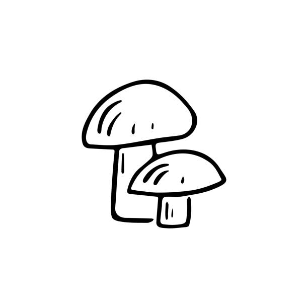Mushroom Coloring Pages Pictures Illustrations, Royalty-Free Vector ...