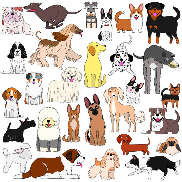 doodle of various dogs doodle of various dogs purebred dog stock illustrations