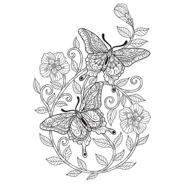 doodle Two butterfly with flower tangles adult coloring page, Illustration  style. Hand drawn sketch illustration for adult coloring book vector was made in eps 10. butterfly coloring stock illustrations