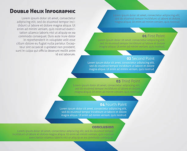 DNA Double Helix Infographic A DNA Double Helix Infographic medical or scientific concept helix model stock illustrations
