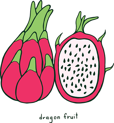 Download Ilustración de Página Para Colorear De Dragon Fruit ...