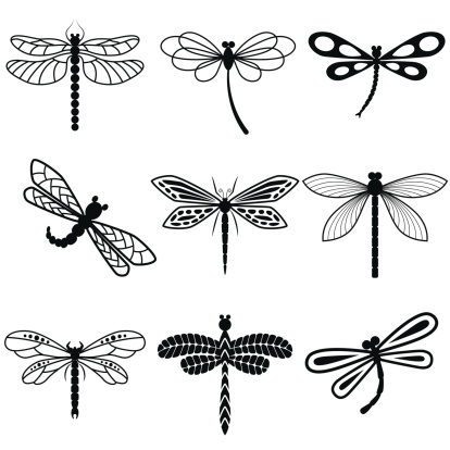 Dragonflies, black silhouettes on white background