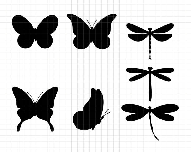 Dragonfly and butterfly silhouettes.  Decoration design. Vector flat illustration. Cutting file. Suitable for cutting software. Cricut, Silhouette Dragonfly and butterfly silhouettes.  Decoration design. Vector flat illustration. Cutting file. Suitable for cutting software. Cricut, Silhouette dragonfly stock illustrations