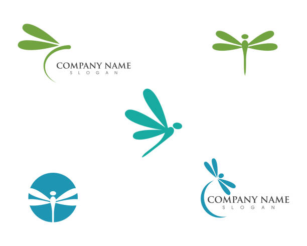 Dragonfly illustration icon template vector Dragonfly illustration icon design template vector dragonfly stock illustrations