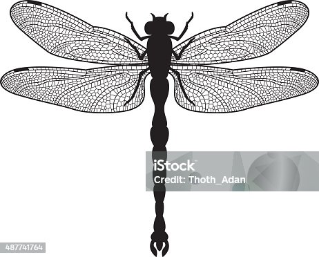 istock Dragonfly silhouette 487741764