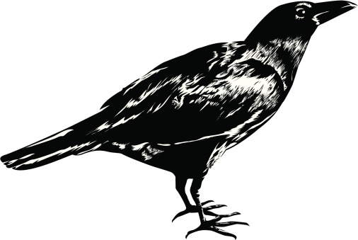 A drawing of a black crow on a white background