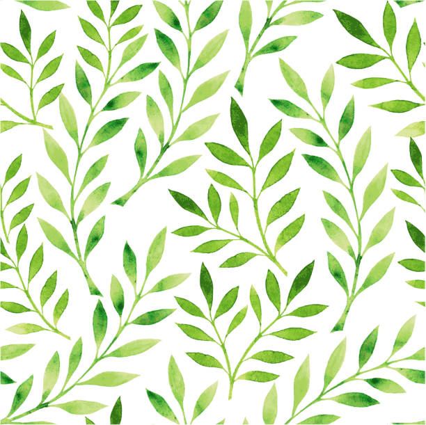A drawing of a pattern of green leaves on a white background EPS 10. File don't contain any blending or transparency object. Seamless pattern, you can use it as wallpaper. plant patterns stock illustrations