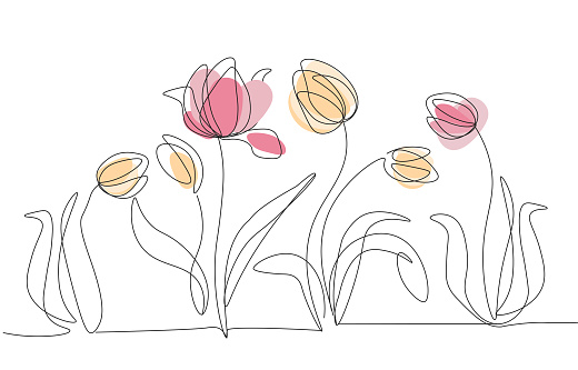 Drawings of flowers