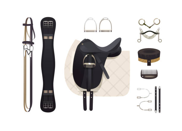 Dressage riding tack Dressage riding tack, horse grooming tools, riding gear and accessories saddle stock illustrations