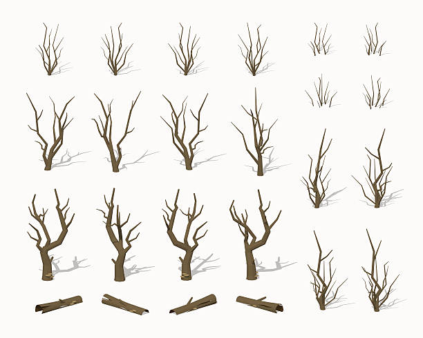 ilustrações, clipart, desenhos animados e ícones de seco árvores morto - arvores 3d