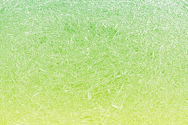 Dried grass texture background Dried grass texture background grass patterns stock illustrations