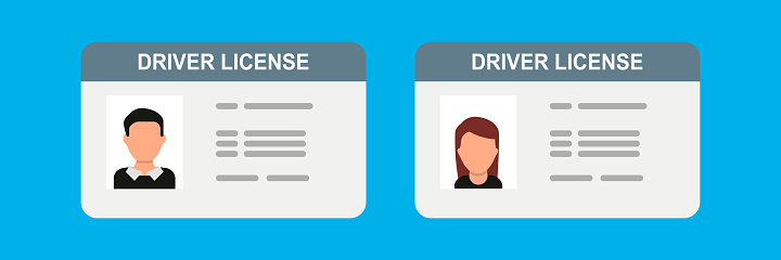 driver license for man, and for woman plastic card template. Vector in flat design