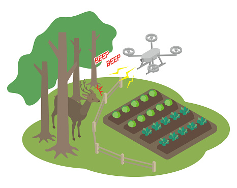 A drone that repels vermin (deer) and protects crops