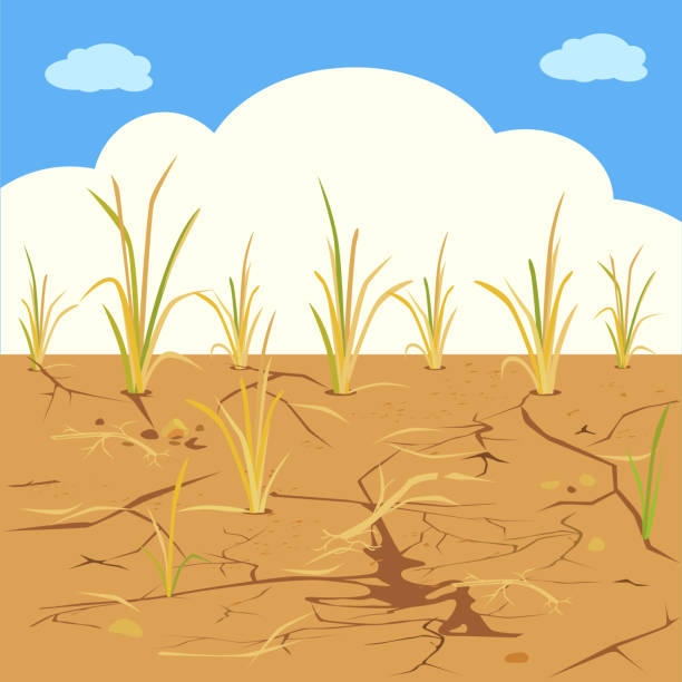 засуха2 - drought stock illustrations