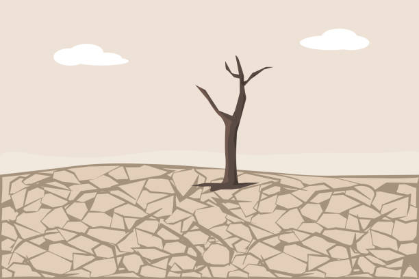 illustrazioni stock, clip art, cartoni animati e icone di tendenza di terra incrinato secca. erosione e desertificazione del suolo - siccità