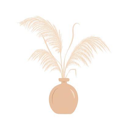 Dry pampas grass in vase. Set of cortaderia arrangements in boho style. Vector dried flowers isolated on white background. Trendy element design for wedding invitations, postcards, home interior