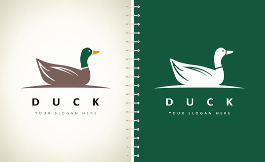 Duck bird vector. Animal design.