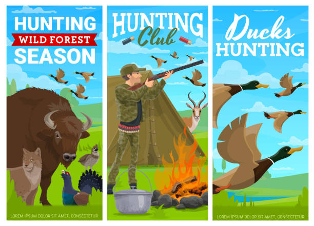 Duck bird, wild animals hunting vector banners Duck bird and wild animals hunting vector banners. Cartoon hunter with rifle in camp with tent shooting to ducks. Antelope and buffalo, capercaillie, grouse and lynx animals and birds. Hunting sport buffalo shooting stock illustrations