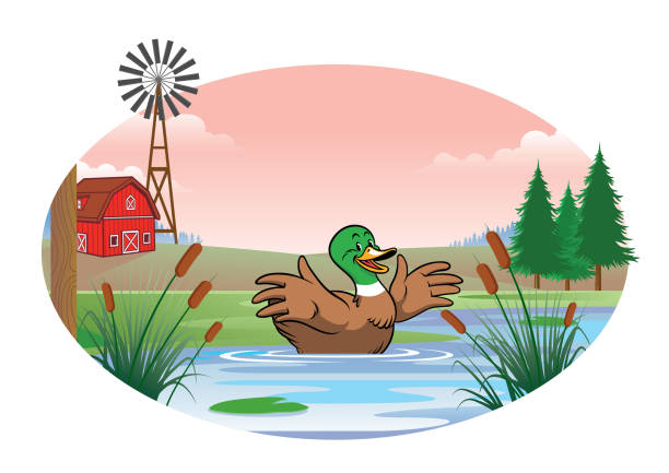 duck in the middle of the pond vector of happy duck in the middle of the pond duck pond stock illustrations