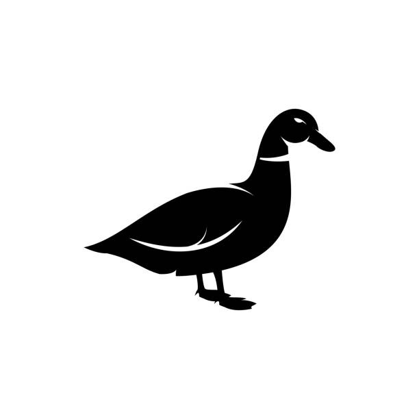 силуэт утки - silhouette of the rubber duck stock illustrations.