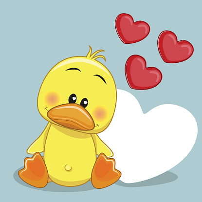 ✓ Imagen de Pato con corazones Fotografía de Stock