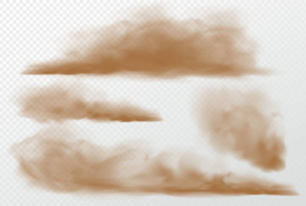 staub- und sandwolken auf transparentem hintergrund. vektor-illustration eps10 - staub stock-grafiken, -clipart, -cartoons und -symbole