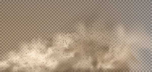 Dust cloud with particles with dirt,cigarette smoke, smog, soil and sand particles. Realistic vector isolated on transparent background.