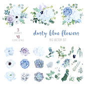 Dusty blue, pale purple rose, white hydrangea, ranunculus, iris, echeveria succulent, flowers,greenery and eucalyptus,berry, juniper big vector set.Trendy pastel color collection.Isolated and editable