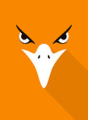 istock eagle bear face flat icon design. Animal icons series, vector illustration 1299021675