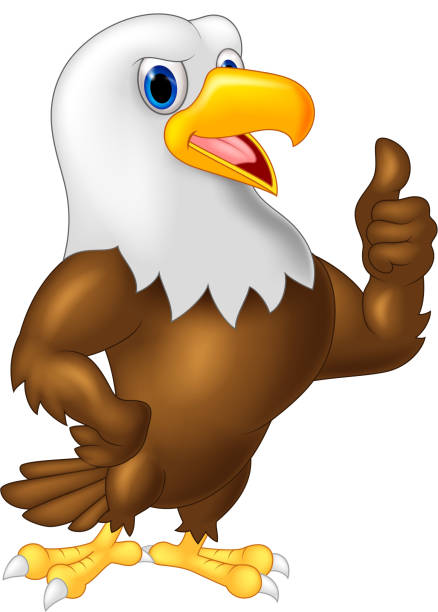 stockillustraties, clipart, cartoons en iconen met eagle cartoon giving thumb up - eagle cartoon