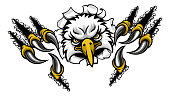 istock Eagle Cartoon Sports Mascot Tearing Background 1160796600
