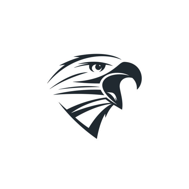 Eagle head icon Eagle head on white background. Crowing eagle icon. bills patriots stock illustrations