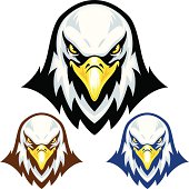 istock Eagle Head Mascot 165900820