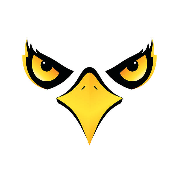 eagle head on white background vector icon eps10 eagle head isolated concept design on white background for your designs vector icon eps10 aggression stock illustrations