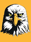 A vector image of a bald eagle vector in simple color. This vector is very good for design that needs eagle head vector element or design.